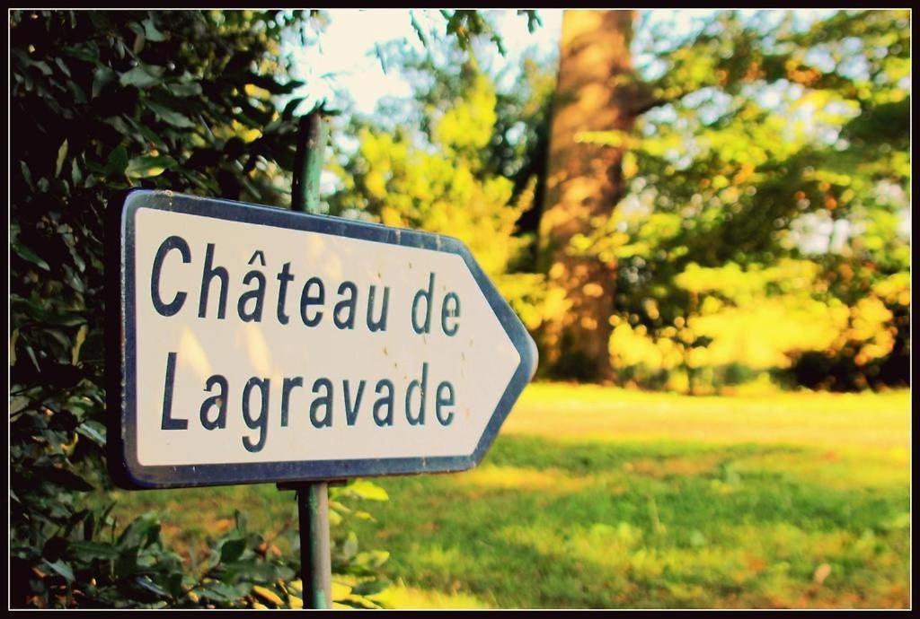 T2 De Charme Dans Un Chateau Layrac Luaran gambar